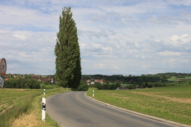 La vision dynamique du trafic