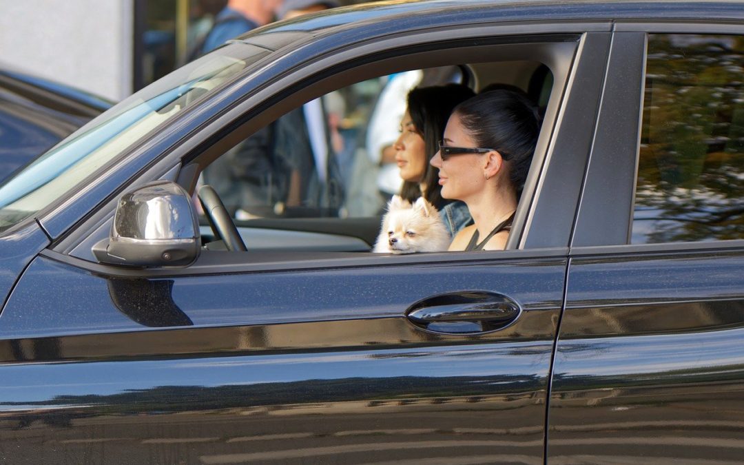 améliorer vos compétences de conducteur