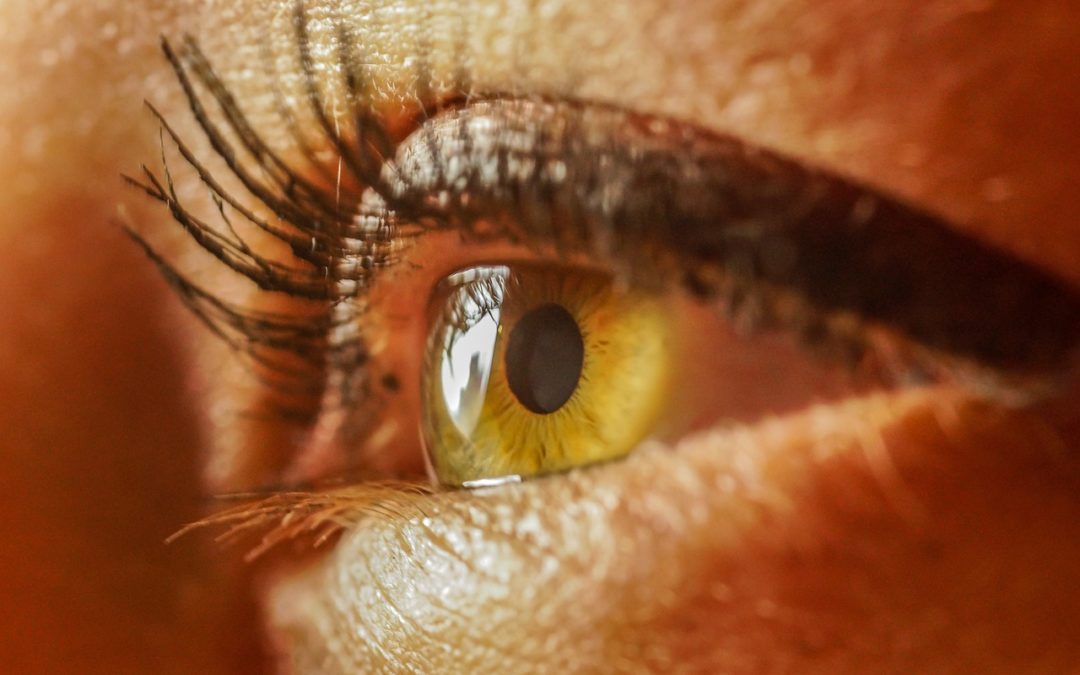 comment prévenir la fatigue visuelle et oculaire