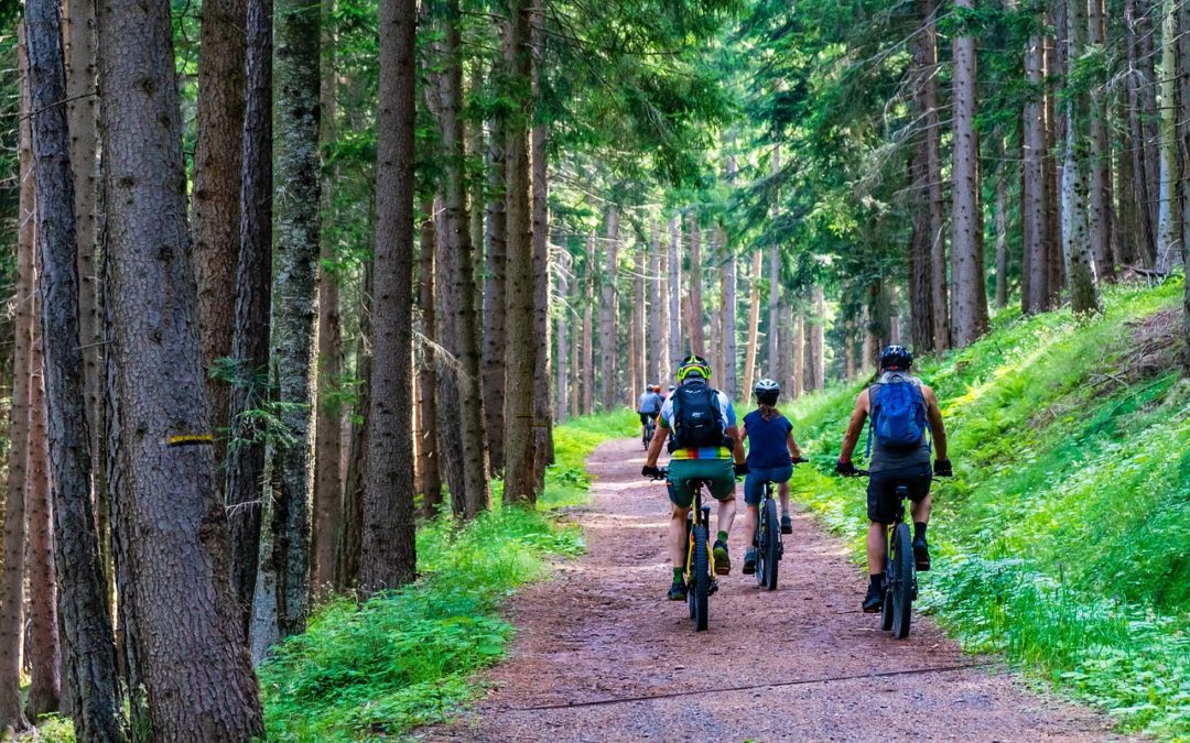 Quels sont les effets du vélo sur le corps ?