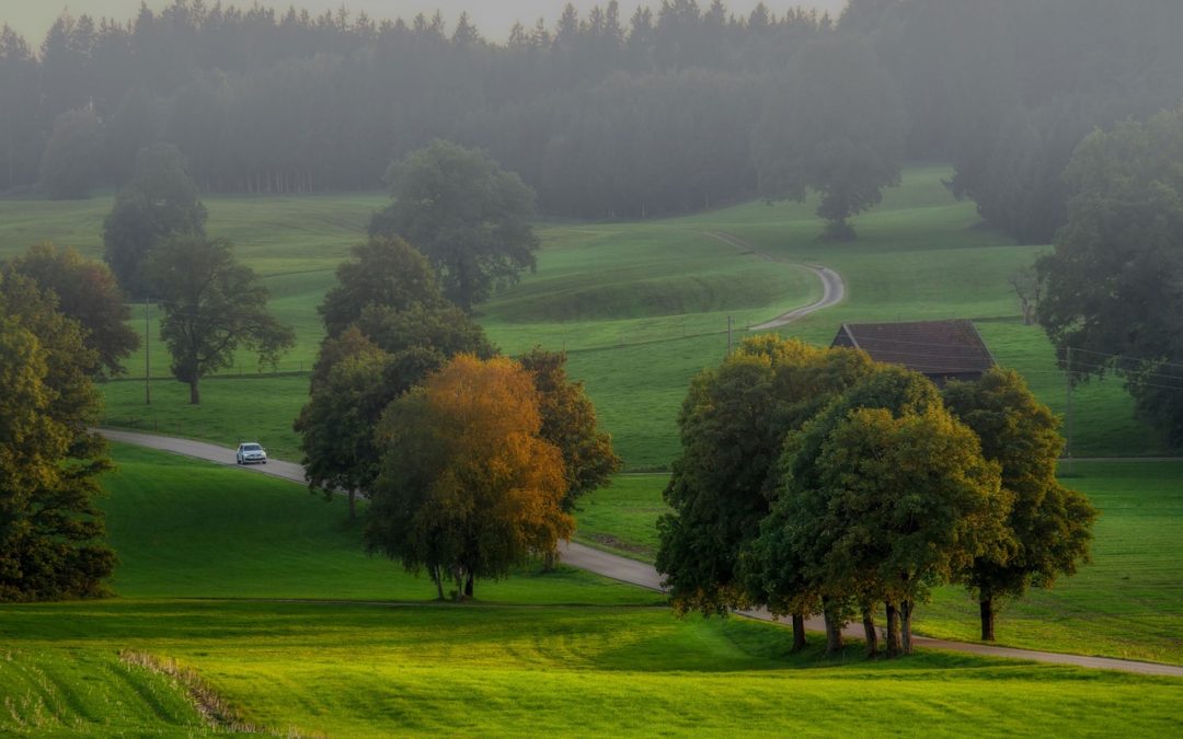 comment réagir aux imprévus de la route