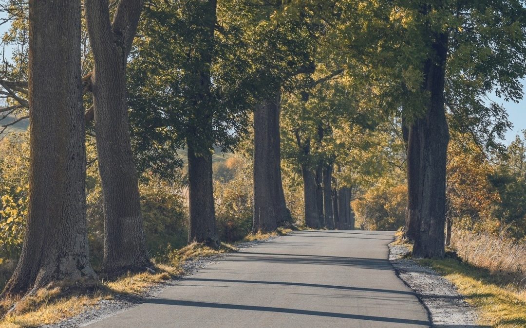 être conscient des risques lors de la conduite