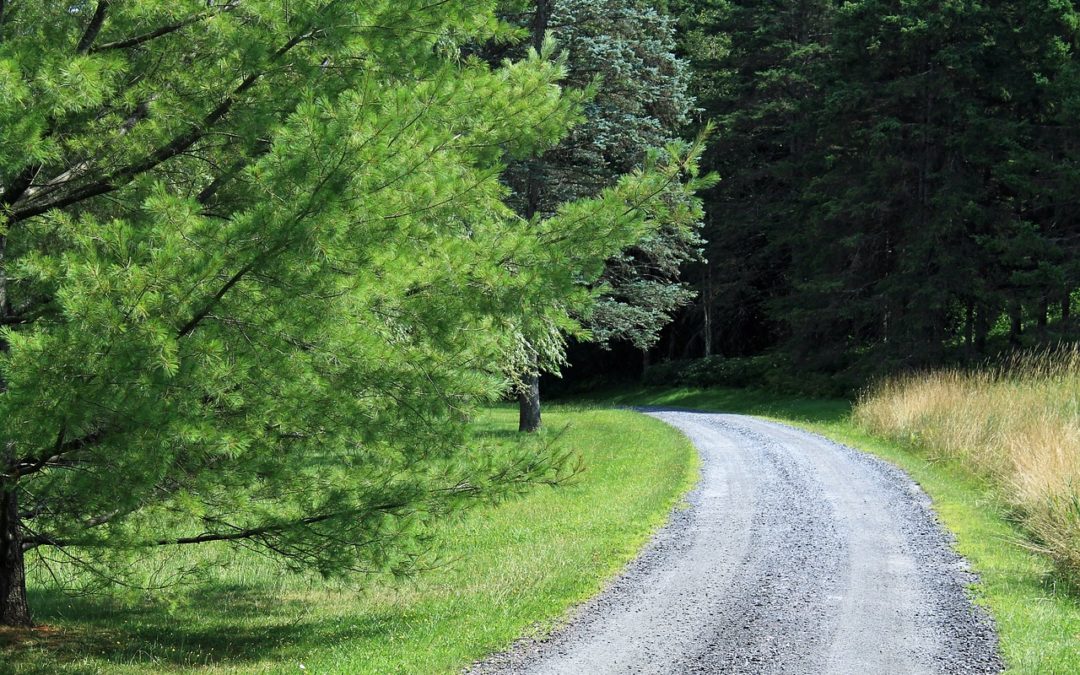 Conduire de manière éco-responsable