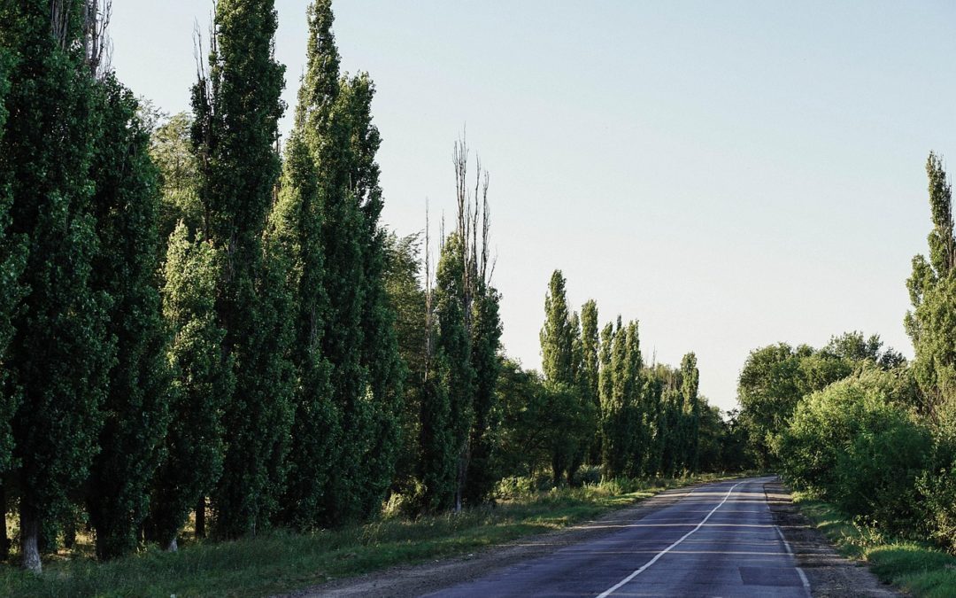 rouler avec une trajectoire fluide sur la route