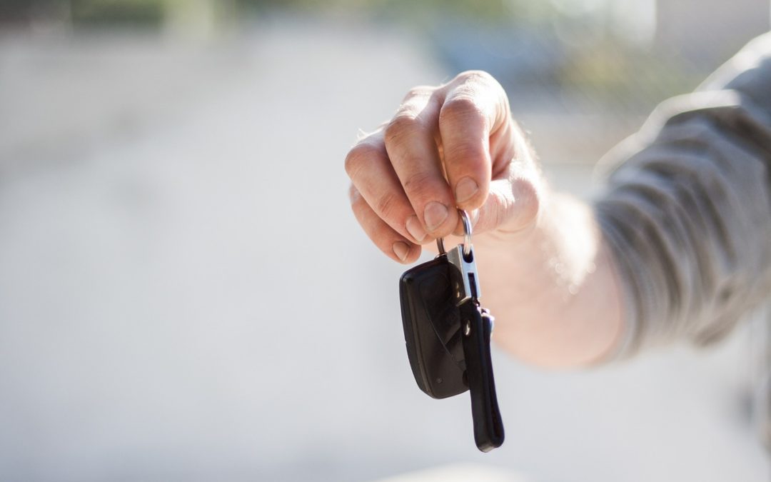 identifier les besoins de chaque élève conducteur
